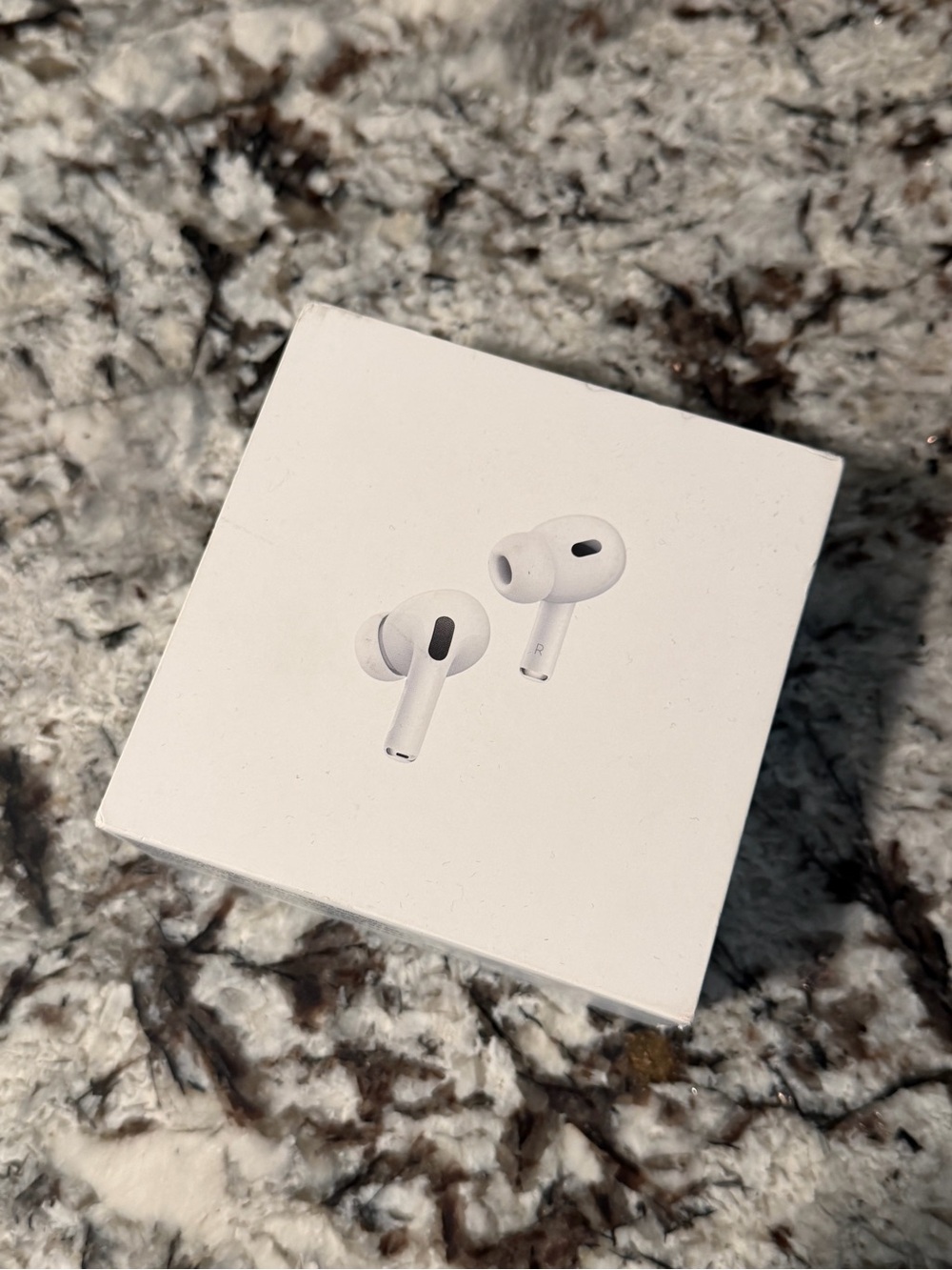 Apple AirPods Pro Earbuds